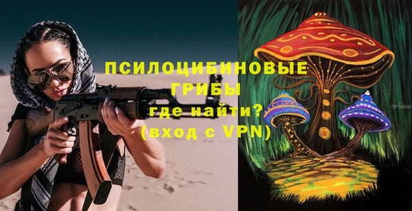 ешки Алексин