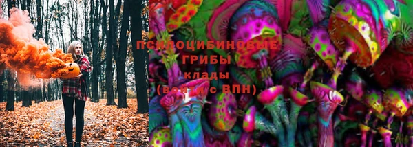 СК Алзамай