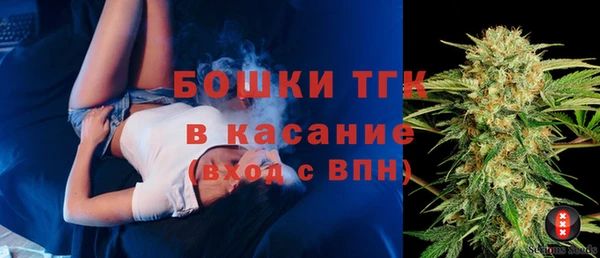 ешки Алексин