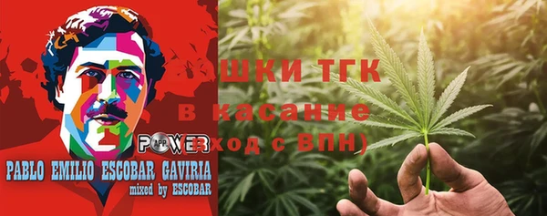 ешки Алексин